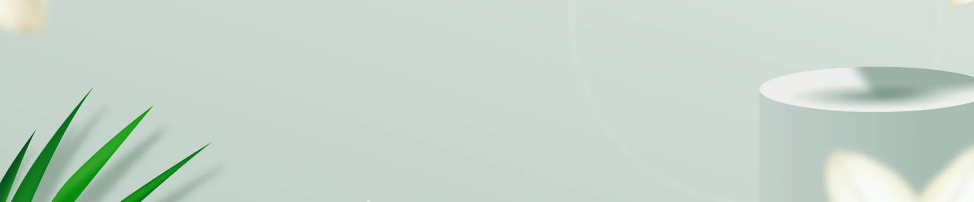 collection-banner-image